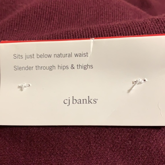 CJ Banks Knit Jeans Size 20W - Picture 6 of 8